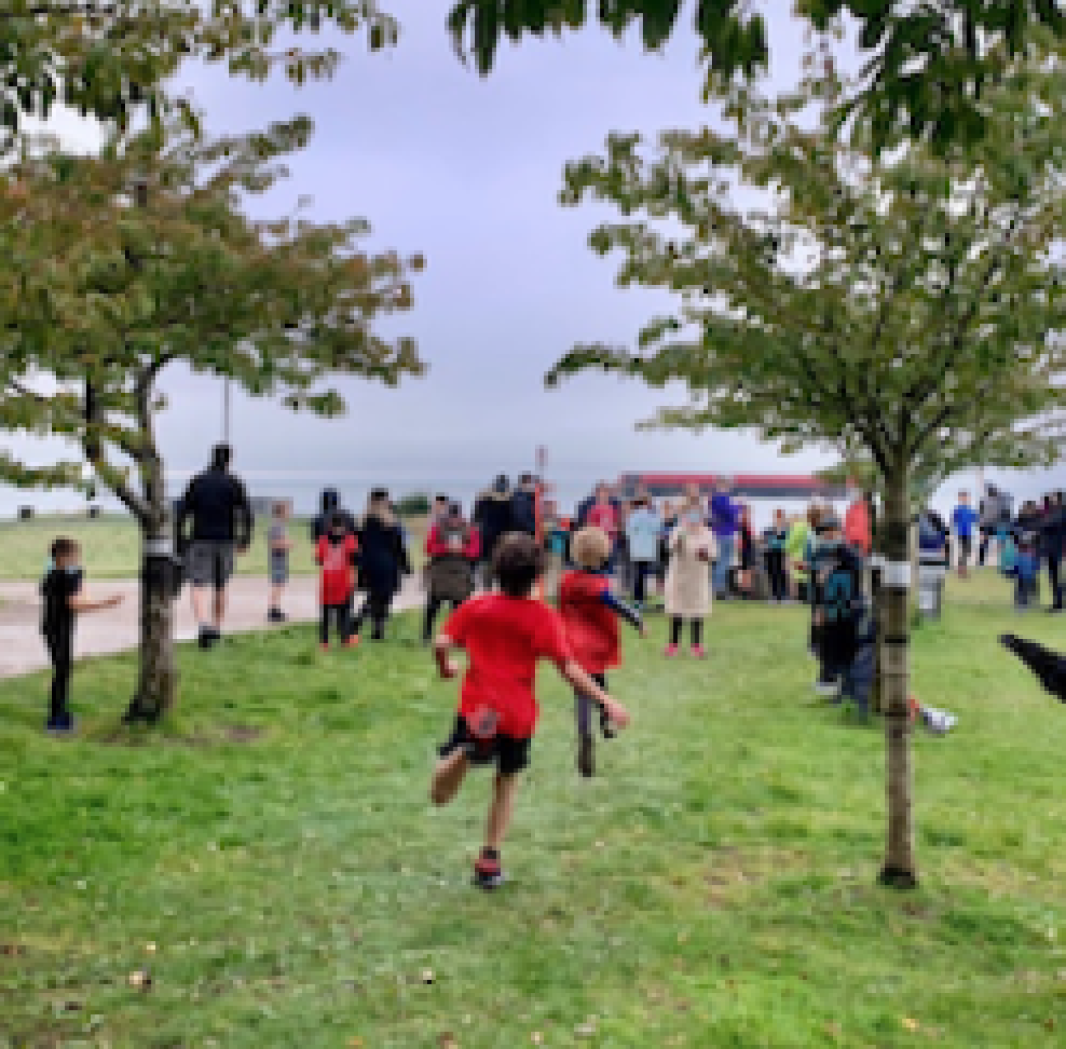 Elementary Cross Country Run Garry Point Quilchena Elementary School