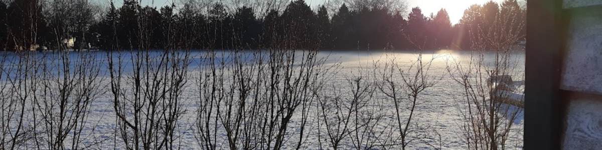 Frosty Morning